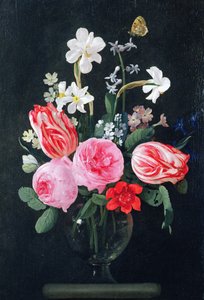 Rose, narcisi, tulipani e altri fiori